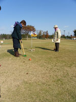 �O�����h�S���t