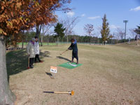 �O�����h�S���t