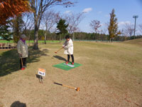 �O�����h�S���t