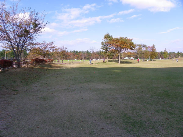 �O�����h�S���t