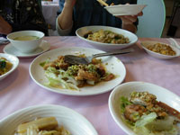 �O�����h�S���t