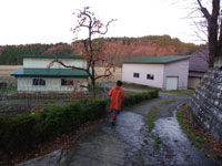 �W���M���O