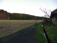 �W���M���O