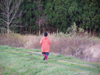 �W���M���O