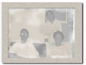 �V�g�������~�肽