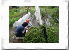 ����ܗF����