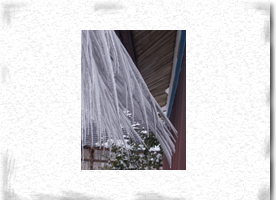 �˂��h����