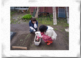 �z�^�e�F����