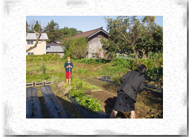 �H�c�łP��