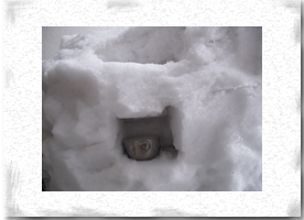 �V�R�̗①��