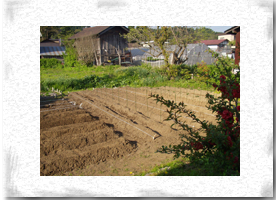 �R�N�ڂ̔����