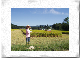 ����`��