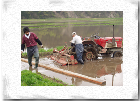 �c�A���̏���