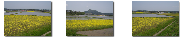 �؂̉ԓc���2