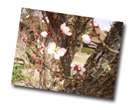 �t��������